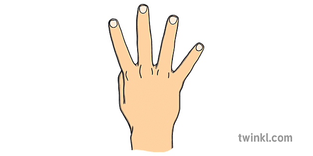 Auslan Number 4 Hand Skin3 四个澳大利亚标志语言 手ks1 无向量