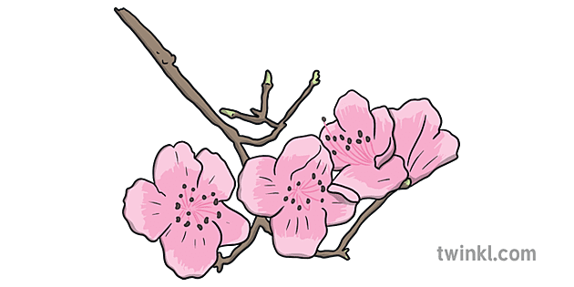 Azalea Flowers on Branch Illustration