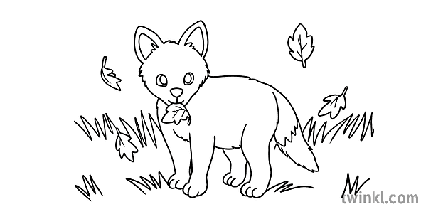 Coloriage Renard Bebe Coloriage Printemps Animaux Animaux Pack Coloriage