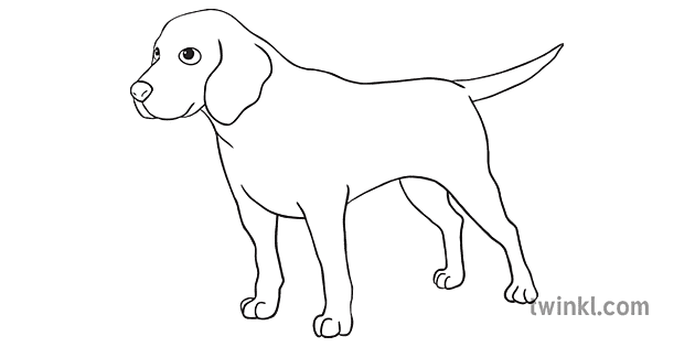 小獵犬狗英語故事私人和平寵物動物二級bw Rgb Illustration