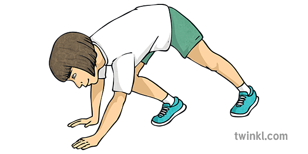 Bear Walk Exercise Stage 2 PE Gym KS2 Illustration - Twinkl