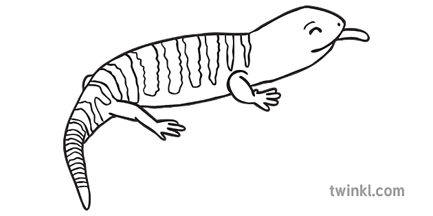 clipart lizard black and white