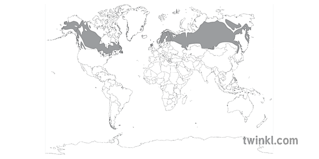 Boreal Zone World Map Habitat Climate Biome Science Ks2 Bw Rgb Illustration 