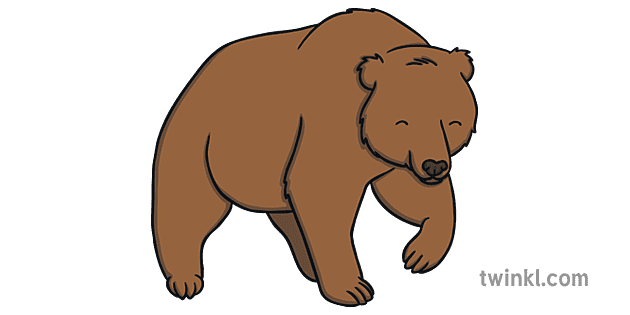 Brown Bear Illustration