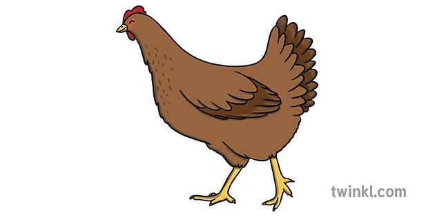 Brown Chicken Hen Animal Farm Bird KS1 Illustration - Twinkl