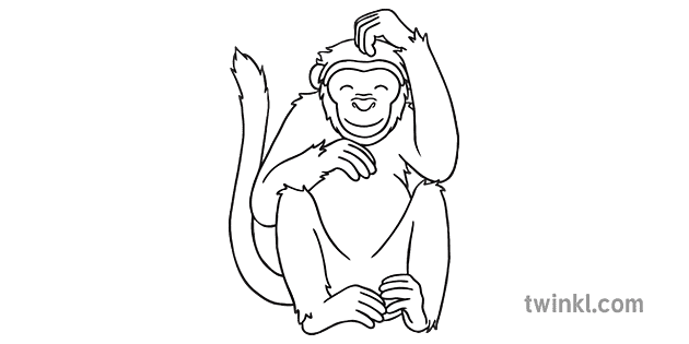 Brown Monkey Black and White Illustration - Twinkl