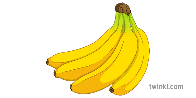 Bunch Of Bananas 2 Illustration - Twinkl