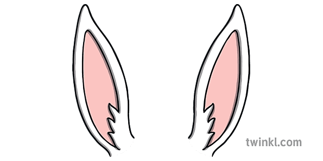 Bunny Rabbit Ears Animals Nature Body Parts KS1 Illustration - Twinkl