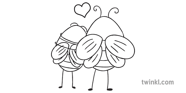 Soins Abeilles Animaux Comprehension Soin Respect Gentillesse Abeille Genre