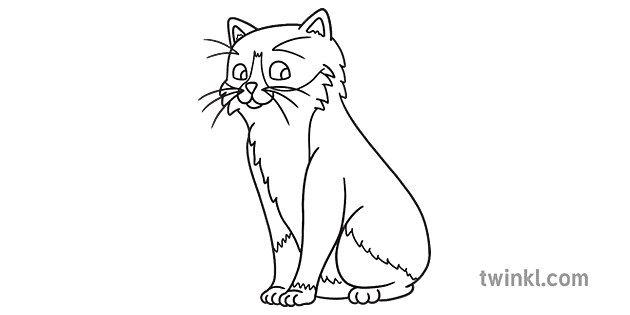 cat no tail du a gwyn rgb Illustration - Twinkl