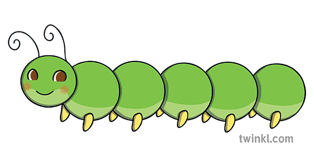 Caterpillar 5 Blank Sections Maths Minibeast ROI KS1 Illustration - Twinkl