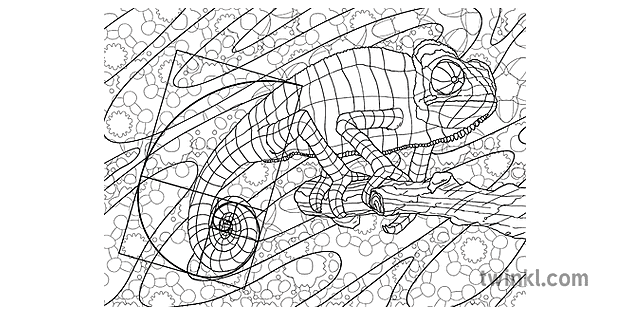 Chameleon Tail Mindfulness Colouring Golden Ratio Animal Lizard Numeracy and