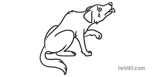 personnage le chien triste roumain conte de fées animal négligé ks1 noir et