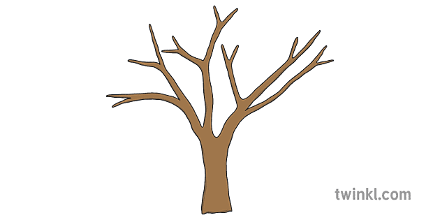 Cherry Tree Trunk Illustration - Twinkl