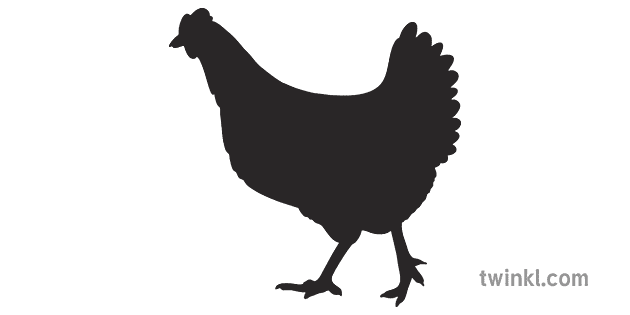 Chicken Shadow Bird Farm Silhouette Outline EYFS KS1 Black and White RGB
