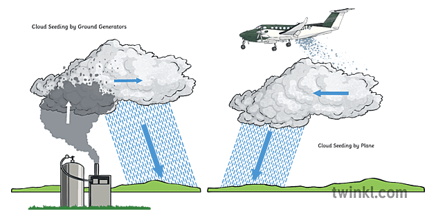diagrama sementeira nube ks2 - Twinkl