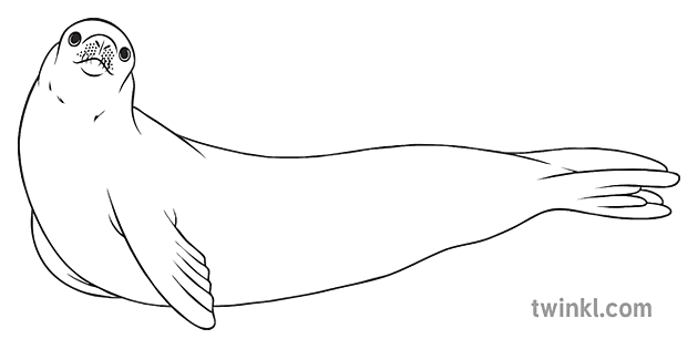 カニクイアザラシ 科学 動物 海 水中 哺乳類 Ks3 Ks4 Bw Rgb カニクイアザラシ 科学 動物 海 水中 哺乳類 Ks3 Ks4 Bw Rgb