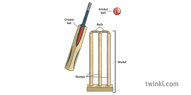 Cricket Bat Ball Bails Stumps Wicket Illustration Twinkl