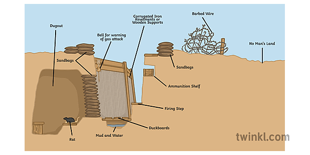 cross section of a trench history wwi diagram secondary Illustration ...