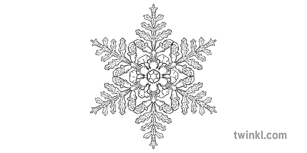 Cristal Flocon De Neige 2 Noir Et Blanc Illustration Twinkl