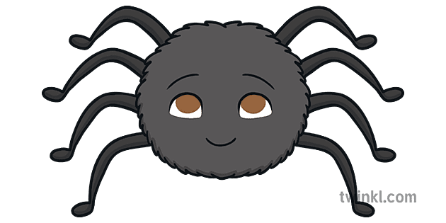 roztomilý pavouk minibeasts eyfs - Twinkl