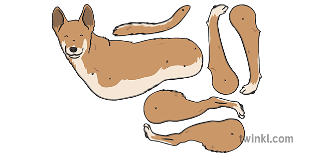 Dingo Split Pin Australia Animal Puppet Ks1 Illustration Twinkl