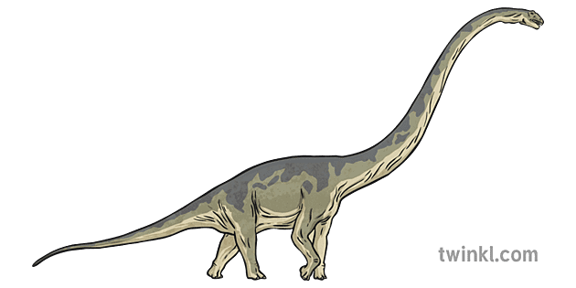 Diplodocus 1 Illustration Twinkl