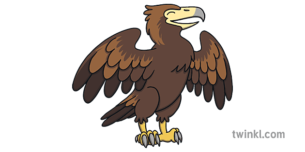 Eagle Character Wedge Tailed Australian Wildlife Bird Cute Cartoon KS1