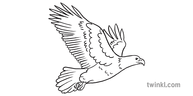 Eagle Emoji Birds Animals Nature Twinkl Newsroom KS2 Black and White RGB