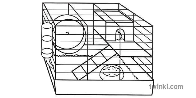 hamster cage coloring page