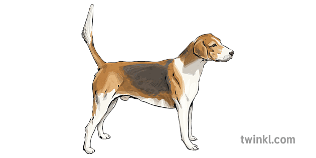 are english foxhound good with kids