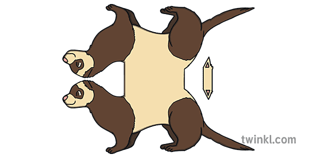 Ferret Animal Paper Craft Template Illustration - Twinkl