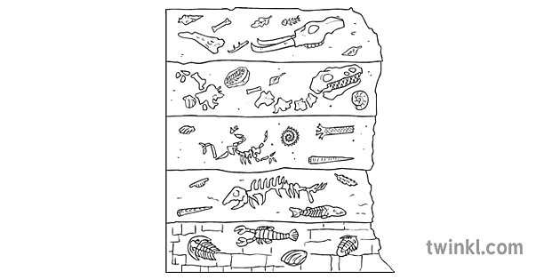 Fossil Layers Diagram Science Secondary Bw RGB - Twinkl