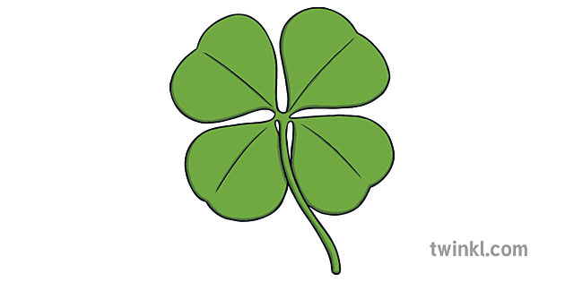 Four Leaf Clover Shamrock Illustration Twinkl