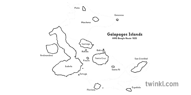 islas galápagos blanco y negro 1 Illustration - Twinkl