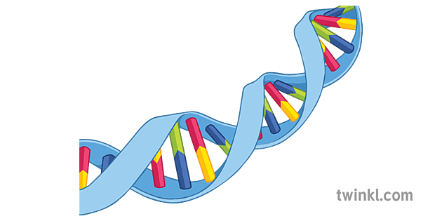 What Are Inherited Characteristics? | Heredity | Twinkl