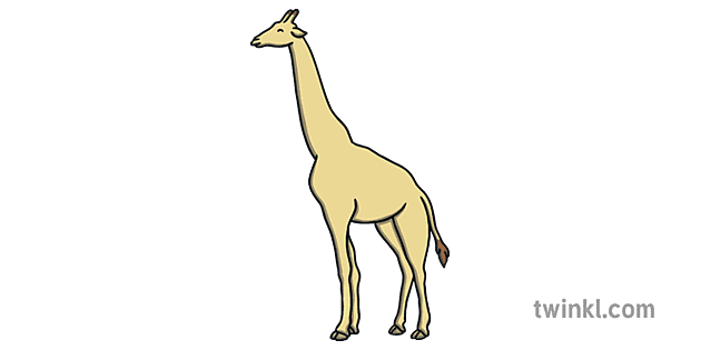 jirafa sin manchas plastilina esteras animal ks1 eyfs Illustration - Twinkl