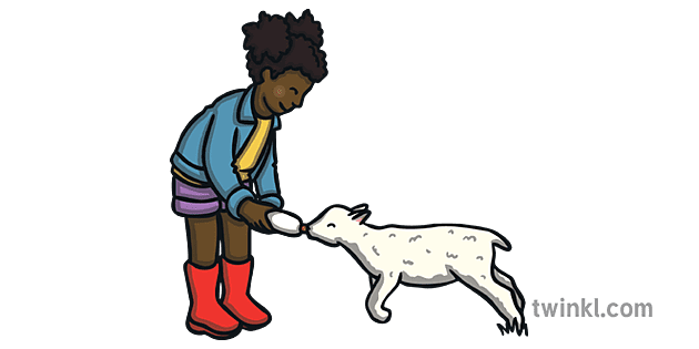 Girl Feeding Lamb Illustration - Twinkl Girl Feeding Lamb Illustration - Twinkl