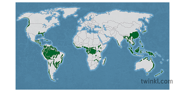 Global Rainforest Distribution Map Biome Geography KS3 Illustration