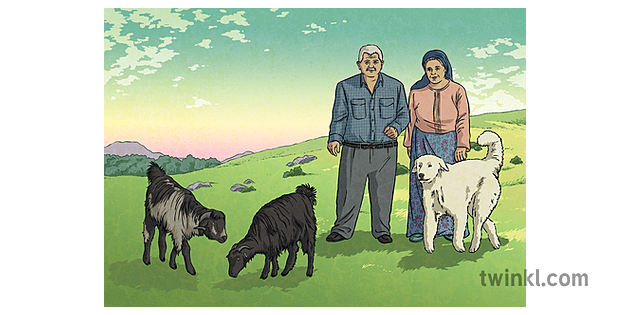 Datuk Nenek Merawat Kambing Orang Anjing Haiwan Ayam Belanda Desa Ladang Saya