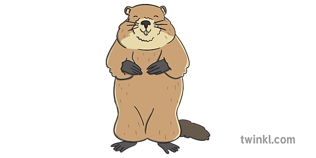 Test - Escape Game Kids – Plateau Marmots