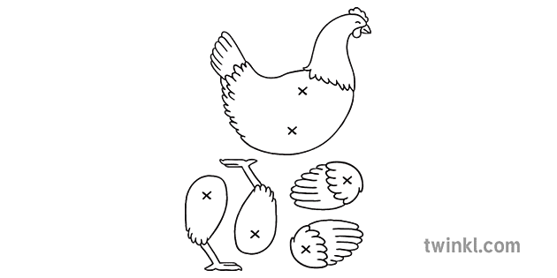 Hen Farm Animal Chicken Bird Split Pin Puppet KS1 Black and White