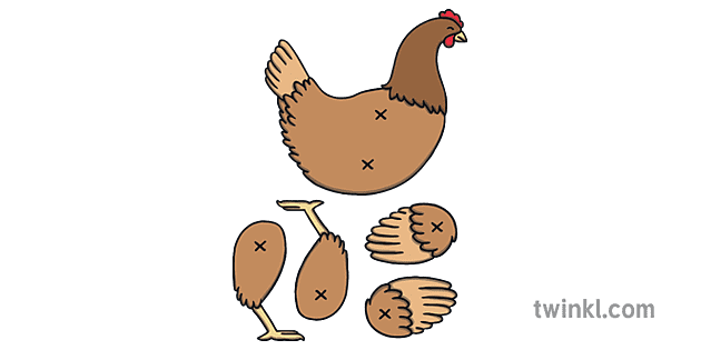 Hen Farm Animal Chicken Bird Split Pin Puppet KS1 Illustration - Twinkl