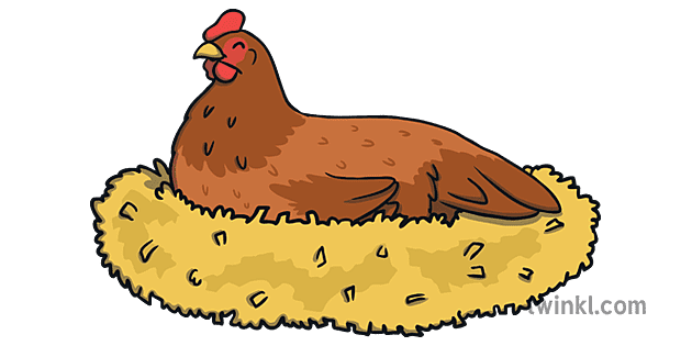 Hen in a Nest Chicken Laying Eggs Farm KS1 Illustration - Twinkl