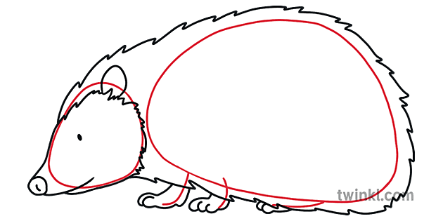 Wie zeichne ein Igel Schritt 4 Tutorial Zeichnen Tier ks1