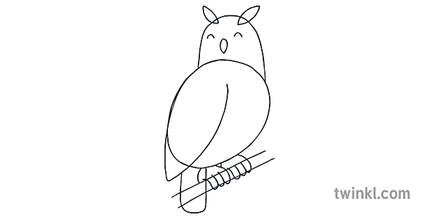 How To Draw An Owl Step 5 Art and Design Animals Birds KS1 Illustration - How To Draw An Owl Step 5 Art and Design Animals Birds KS1 Illustration -