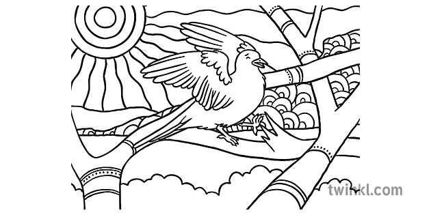How the Birds Got Their Colours Colouring Page 2 Black and White