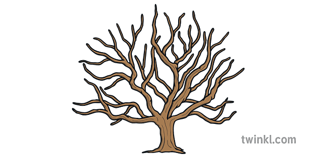 how-to-draw-a-winter-tree-4-nature-art-trees-scotland-ks1-illustration