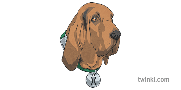 Inference Iggy Head Dog Bloodhound English SATs Survival KS2 Illustration -