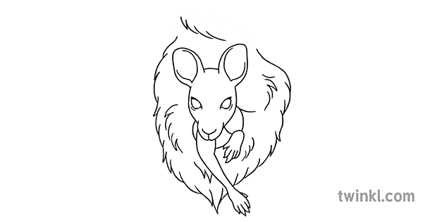 pouch bolsa australia